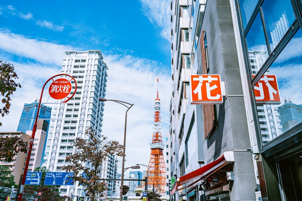 Tokyo Tower between city buildings